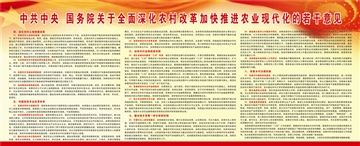 中共中央国务院关于全面深化农村改革加快推进农业现代化的若干意见-2.jpg