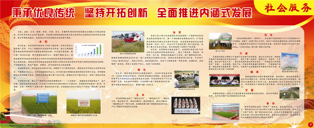 农学院专刊-7.jpg