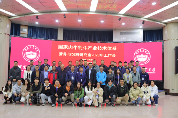 大会合影1_副本.jpg
