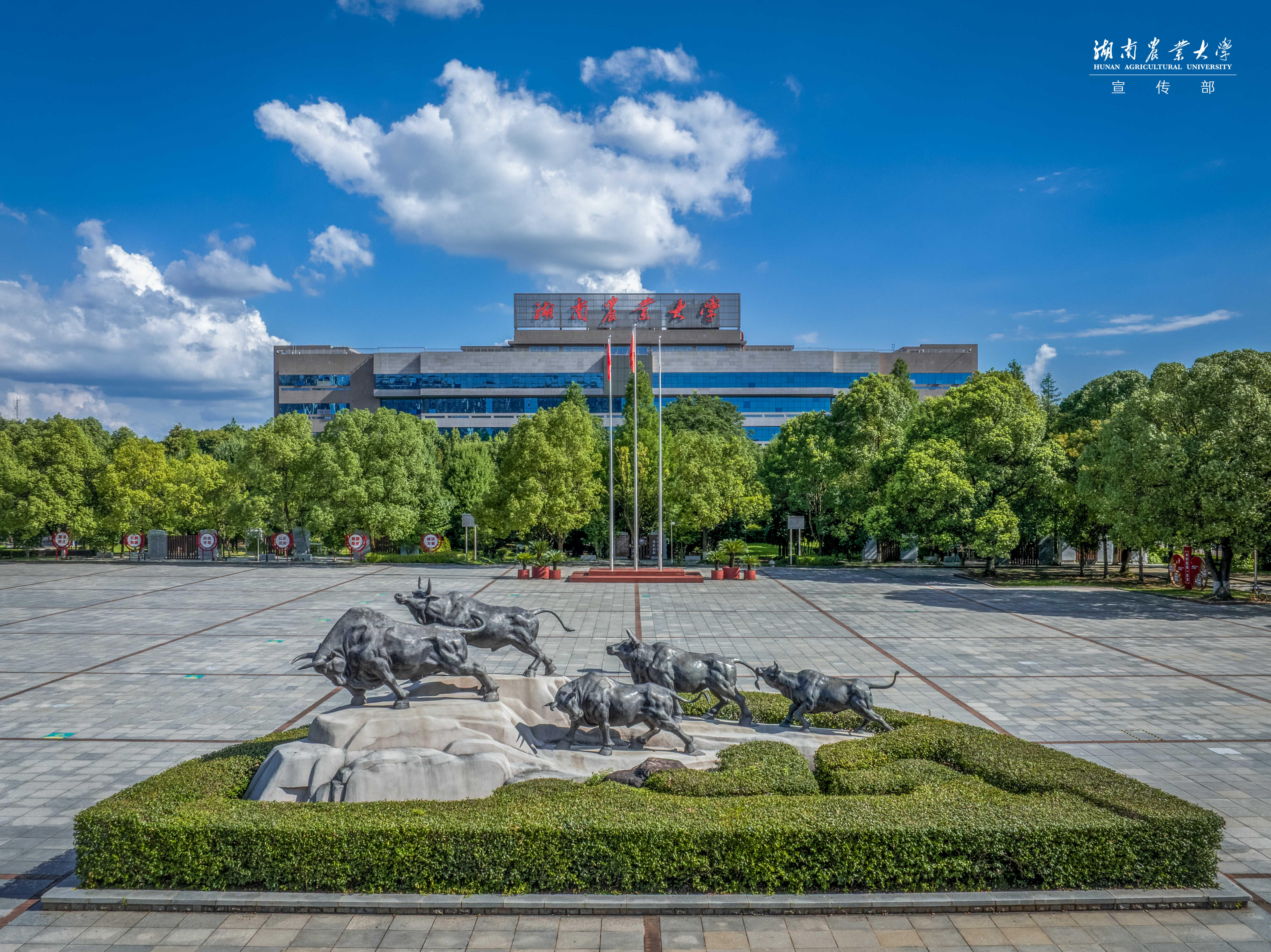 DJI_20260709161430_0730_D_XQYLC-HDR.jpg