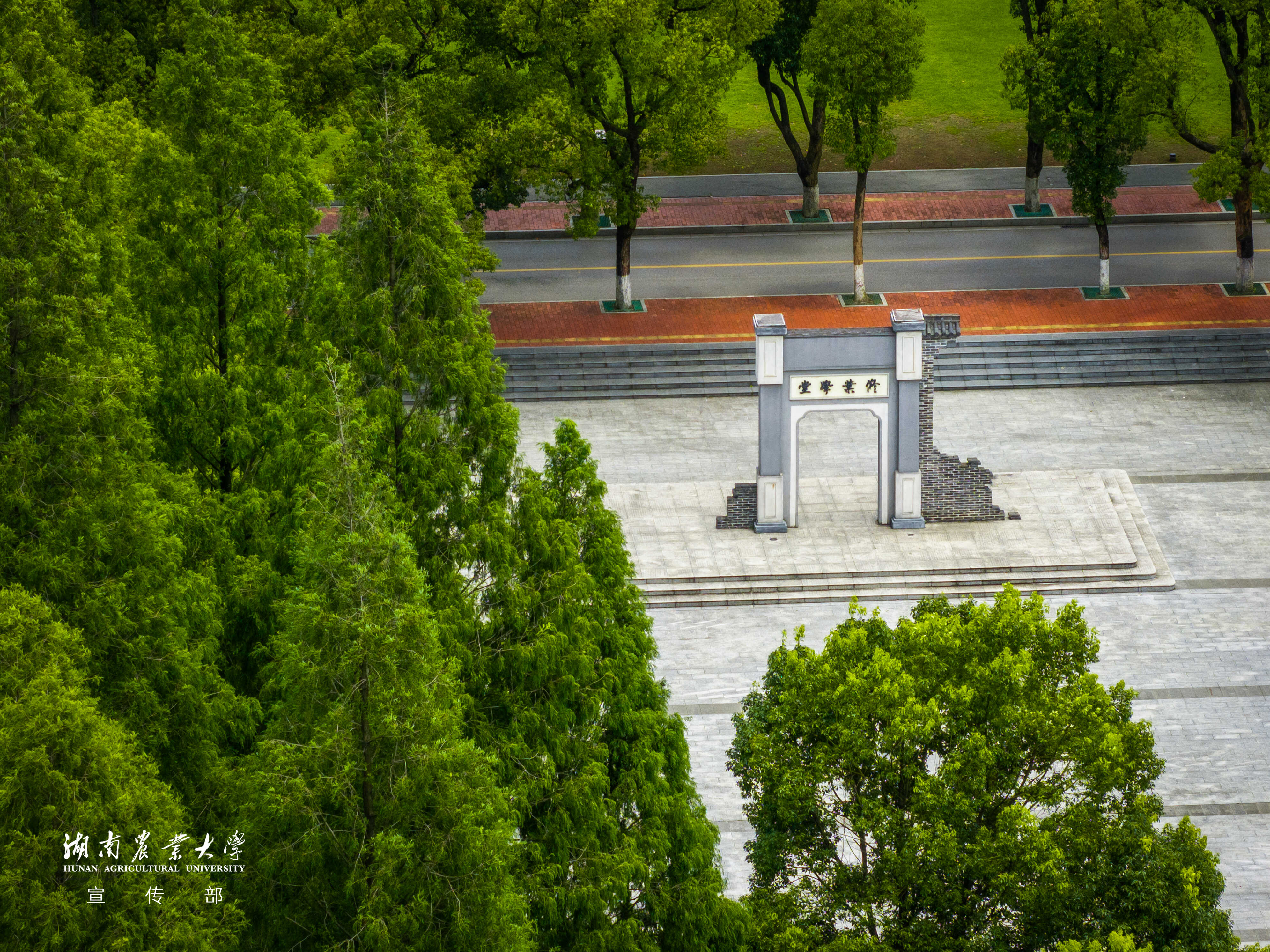 DJI_20260709115028_0383_D_XQYLC-HDR.jpg