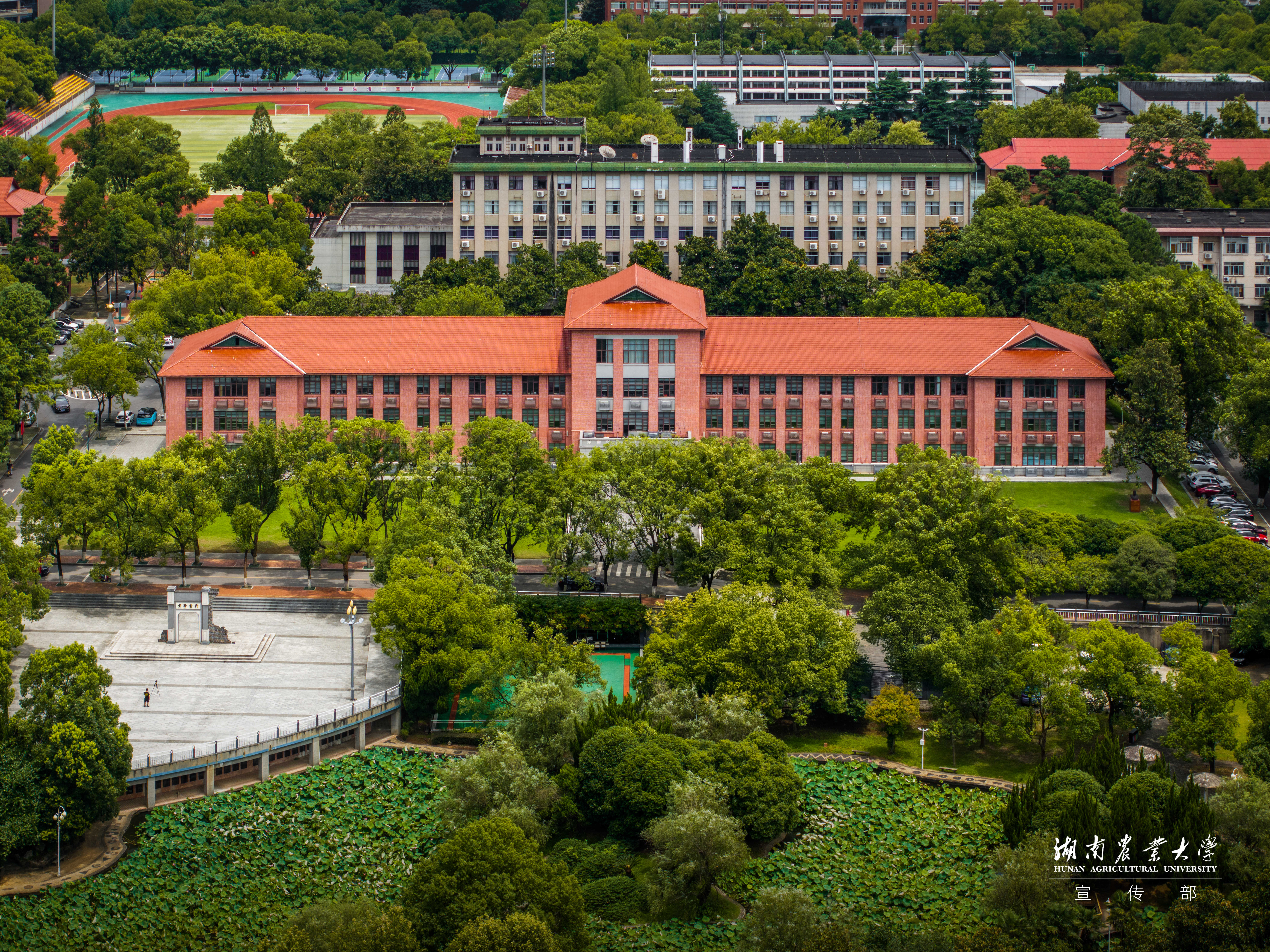 DJI_20260709115114_0389_D_XQYLC-HDR.jpg