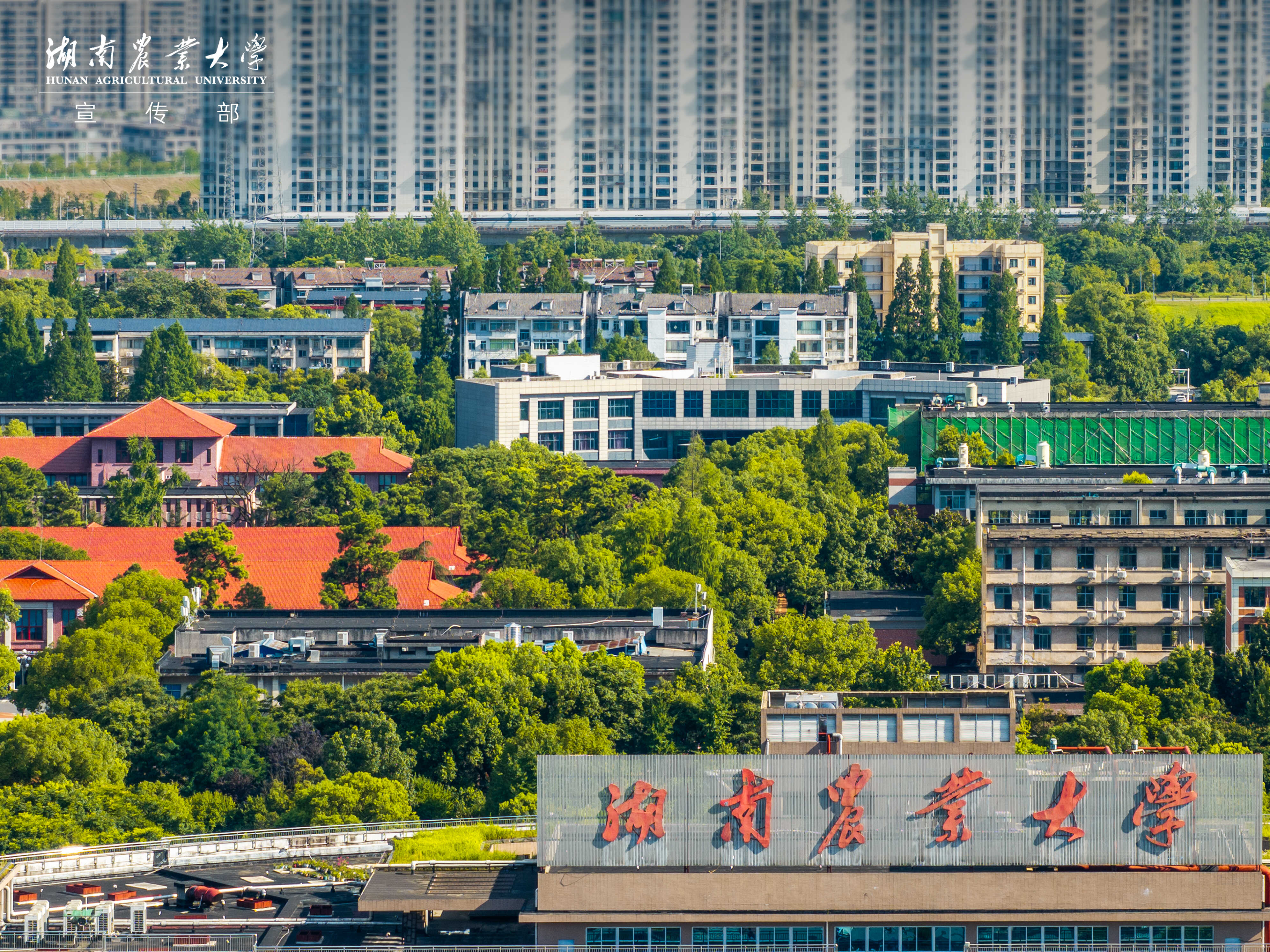 DJI_20260709163716_0839_D_XQYLC-HDR.jpg